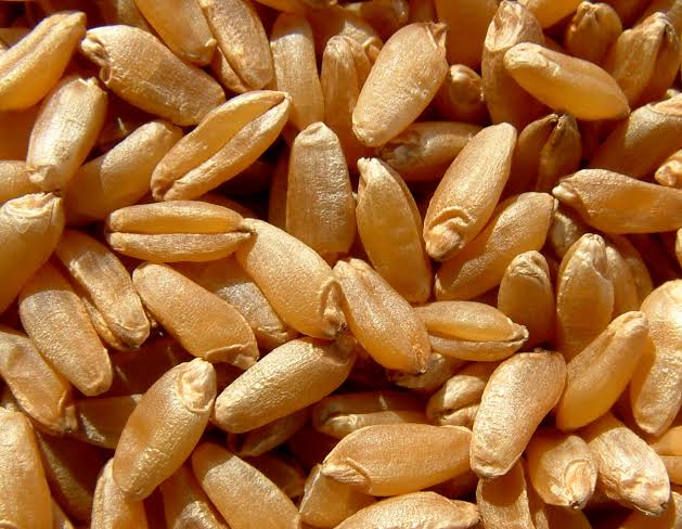 Grano Duro – Farine e Vari