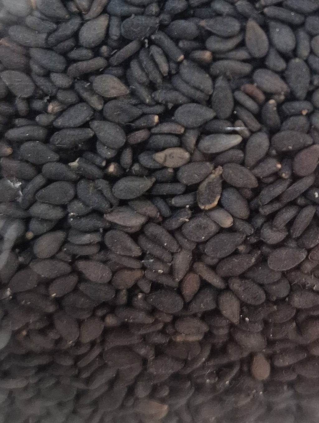 Semi di Sesamo Nero 500g
